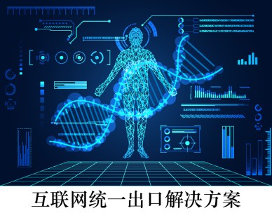 互聯網統一出口解決方案